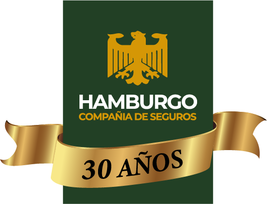 Hamburgo Seguros S.A.